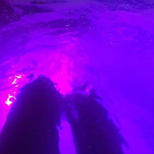 美女的翘臀被踩爆
